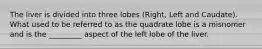 The liver is divided into three lobes (Right, Left and Caudate). What used to be referred to as the quadrate lobe is a misnomer and is the _________ aspect of the left lobe of the liver.