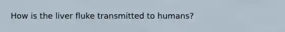 How is the liver fluke transmitted to humans?