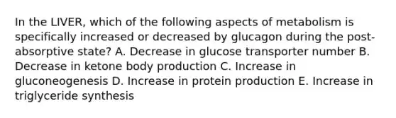 In the LIVER, which of the following aspects of metabolism is specifically increased or decreased by glucagon during the post-absorptive state? A. Decrease in glucose transporter number B. Decrease in ketone body production C. Increase in gluconeogenesis D. Increase in protein production E. Increase in triglyceride synthesis