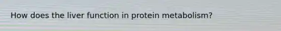 How does the liver function in protein metabolism?