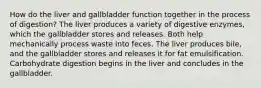 How do the liver and gallbladder function together in the process of digestion? The liver produces a variety of digestive enzymes, which the gallbladder stores and releases. Both help mechanically process waste into feces. The liver produces bile, and the gallbladder stores and releases it for fat emulsification. Carbohydrate digestion begins in the liver and concludes in the gallbladder.