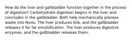 How do the liver and gallbladder function together in the process of digestion? Carbohydrate digestion begins in the liver and concludes in the gallbladder. Both help mechanically process waste into feces. The liver produces bile, and the gallbladder releases it for fat emulsification. The liver produces digestive enzymes, and the gallbladder releases them.