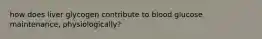 how does liver glycogen contribute to blood glucose maintenance, physiologically?