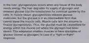 In the liver, glycogenolysis occurs when any tissue of the body needs energy. The liver degrades its supply of glycogen and releases glucose into the bloodstream for eventual uptake by the cells. In muscle tissue, glycogenolysis releases glucose molecules, but the glucose is in an intermediate form that cannot leave the muscle cells. Muscle cells lack the enzyme to finalize glycogenolysis. Thus, the glucose must be catabolized for energy within the muscle cell where the glycogen had been stored. This adaptation enables muscles to have stockpiles of glucose (stored as glycogen) in case of a "fight-or-flight" response.