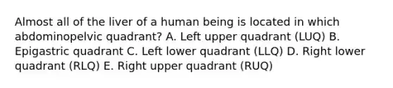 Almost all of the liver of a human being is located in which abdominopelvic quadrant? A. Left upper quadrant (LUQ) B. Epigastric quadrant C. Left lower quadrant (LLQ) D. Right lower quadrant (RLQ) E. Right upper quadrant (RUQ)