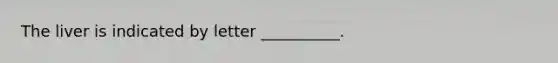 The liver is indicated by letter __________.