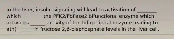 in the liver, insulin signaling will lead to activation of ________ which ________ the PFK2/FbPase2 bifunctional enzyme which activates ______ activity of the bifunctional enzyme leading to a(n) ______ in fructose 2,6-bisphosphate levels in the liver cell.