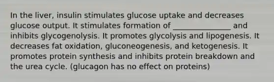 In the liver, insulin stimulates glucose uptake and decreases glucose output. It stimulates formation of _______________ and inhibits glycogenolysis. It promotes glycolysis and lipogenesis. It decreases fat oxidation, gluconeogenesis, and ketogenesis. It promotes protein synthesis and inhibits protein breakdown and the urea cycle. (glucagon has no effect on proteins)