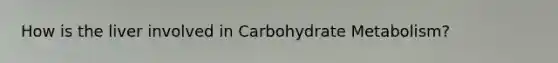 How is the liver involved in Carbohydrate Metabolism?