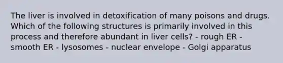 The liver is involved in detoxification of many poisons and drugs. Which of the following structures is primarily involved in this process and therefore abundant in liver cells? - rough ER - smooth ER - lysosomes - nuclear envelope - Golgi apparatus