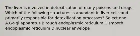 The liver is involved in detoxification of many poisons and drugs. Which of the following structures is abundant in liver cells and primarily responsible for detoxification processes? Select one: A.Golgi apparatus B.rough endoplasmic reticulum C.smooth endoplasmic reticulum D.nuclear envelope