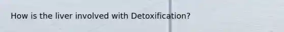 How is the liver involved with Detoxification?