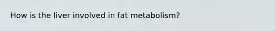 How is the liver involved in fat metabolism?