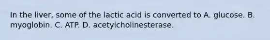 In the liver, some of the lactic acid is converted to A. glucose. B. myoglobin. C. ATP. D. acetylcholinesterase.