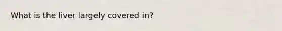 What is the liver largely covered in?