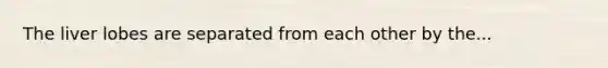 The liver lobes are separated from each other by the...