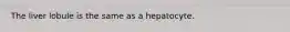 The liver lobule is the same as a hepatocyte.