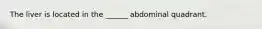 The liver is located in the ______ abdominal quadrant.