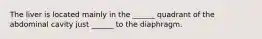 The liver is located mainly in the ______ quadrant of the abdominal cavity just ______ to the diaphragm.