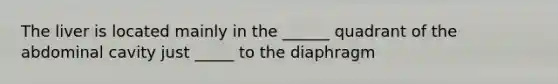 The liver is located mainly in the ______ quadrant of the abdominal cavity just _____ to the diaphragm