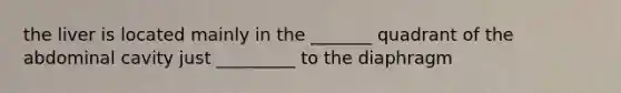 the liver is located mainly in the _______ quadrant of the abdominal cavity just _________ to the diaphragm