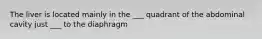 The liver is located mainly in the ___ quadrant of the abdominal cavity just ___ to the diaphragm