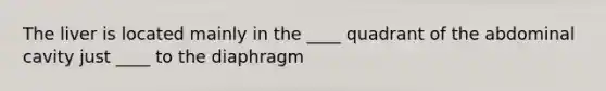 The liver is located mainly in the ____ quadrant of the abdominal cavity just ____ to the diaphragm