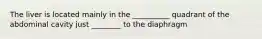 The liver is located mainly in the __________ quadrant of the abdominal cavity just ________ to the diaphragm