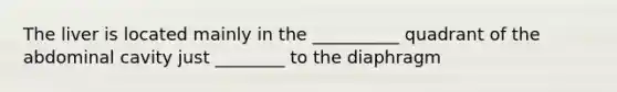 The liver is located mainly in the __________ quadrant of the abdominal cavity just ________ to the diaphragm