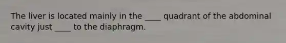 The liver is located mainly in the ____ quadrant of the abdominal cavity just ____ to the diaphragm.