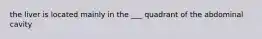 the liver is located mainly in the ___ quadrant of the abdominal cavity