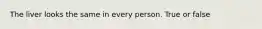 The liver looks the same in every person. True or false