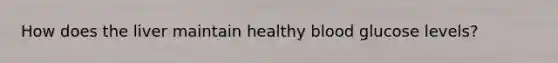 How does the liver maintain healthy blood glucose levels?