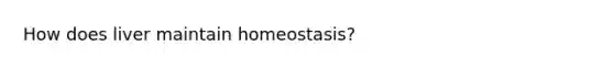 How does liver maintain homeostasis?