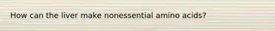 How can the liver make nonessential amino acids?