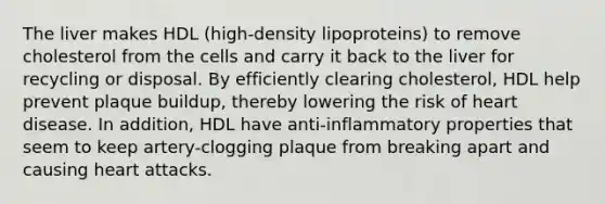 The liver makes HDL (high-density lipoproteins) to remove cholesterol from the cells and carry it back to the liver for recycling or disposal. By efficiently clearing cholesterol, HDL help prevent plaque buildup, thereby lowering the risk of heart disease. In addition, HDL have anti-inflammatory properties that seem to keep artery-clogging plaque from breaking apart and causing heart attacks.