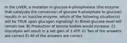 In the LIVER, a mutation in glucose-6-phosphatase (the enzyme that catalyzes the conversion of glucose 6-phosphate to glucose) results in an inactive enzyme, which of the following situation(s) will be TRUE upon glucagon signaling? A) Blood glucose level will remain low. B) Production of ketone bodies would increase. C) Glycolysis will result in a net gain of 3 ATP. D) Two of the answers are correct E) All of the answers are correct