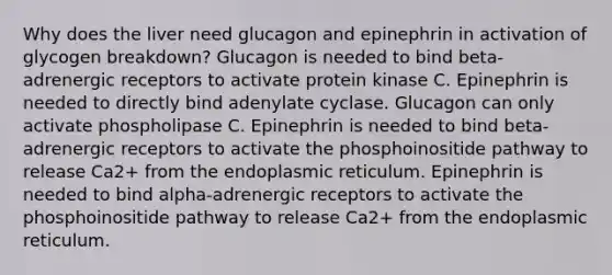 Why does the liver need glucagon and epinephrin in activation of glycogen breakdown? Glucagon is needed to bind beta-adrenergic receptors to activate protein kinase C. Epinephrin is needed to directly bind adenylate cyclase. Glucagon can only activate phospholipase C. Epinephrin is needed to bind beta-adrenergic receptors to activate the phosphoinositide pathway to release Ca2+ from the endoplasmic reticulum. Epinephrin is needed to bind alpha-adrenergic receptors to activate the phosphoinositide pathway to release Ca2+ from the endoplasmic reticulum.