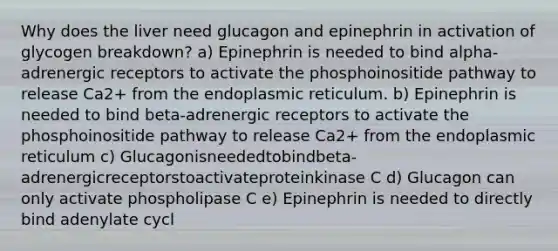 Why does the liver need glucagon and epinephrin in activation of glycogen breakdown? a) Epinephrin is needed to bind alpha-adrenergic receptors to activate the phosphoinositide pathway to release Ca2+ from the endoplasmic reticulum. b) Epinephrin is needed to bind beta-adrenergic receptors to activate the phosphoinositide pathway to release Ca2+ from the endoplasmic reticulum c) Glucagonisneededtobindbeta-adrenergicreceptorstoactivateproteinkinase C d) Glucagon can only activate phospholipase C e) Epinephrin is needed to directly bind adenylate cycl