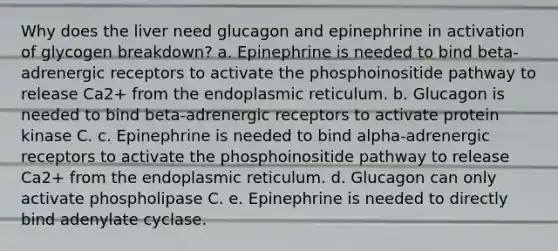 Why does the liver need glucagon and epinephrine in activation of glycogen breakdown? a. Epinephrine is needed to bind beta-adrenergic receptors to activate the phosphoinositide pathway to release Ca2+ from the endoplasmic reticulum. b. Glucagon is needed to bind beta-adrenergic receptors to activate protein kinase C. c. Epinephrine is needed to bind alpha-adrenergic receptors to activate the phosphoinositide pathway to release Ca2+ from the endoplasmic reticulum. d. Glucagon can only activate phospholipase C. e. Epinephrine is needed to directly bind adenylate cyclase.