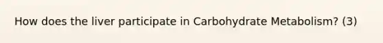 How does the liver participate in Carbohydrate Metabolism? (3)