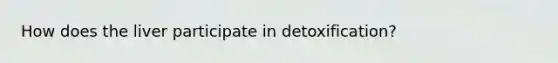 How does the liver participate in detoxification?