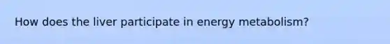 How does the liver participate in energy metabolism?