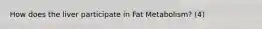 How does the liver participate in Fat Metabolism? (4)