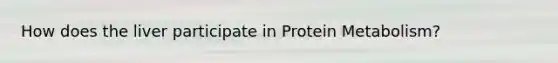 How does the liver participate in Protein Metabolism?