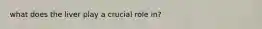 what does the liver play a crucial role in?