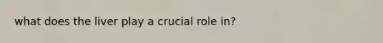 what does the liver play a crucial role in?