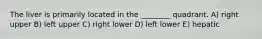 The liver is primarily located in the ________ quadrant. A) right upper B) left upper C) right lower D) left lower E) hepatic