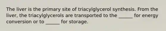 The liver is the primary site of triacylglycerol synthesis. From the liver, the triacylglycerols are transported to the ______ for energy conversion or to ______ for storage.