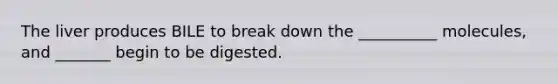 The liver produces BILE to break down the __________ molecules, and _______ begin to be digested.